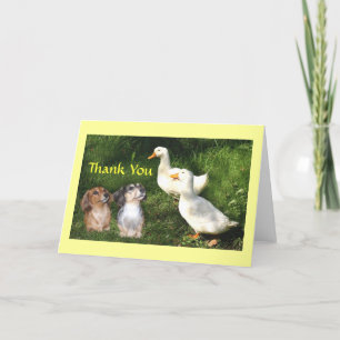 Dachshunds Thank You Card With Ducks