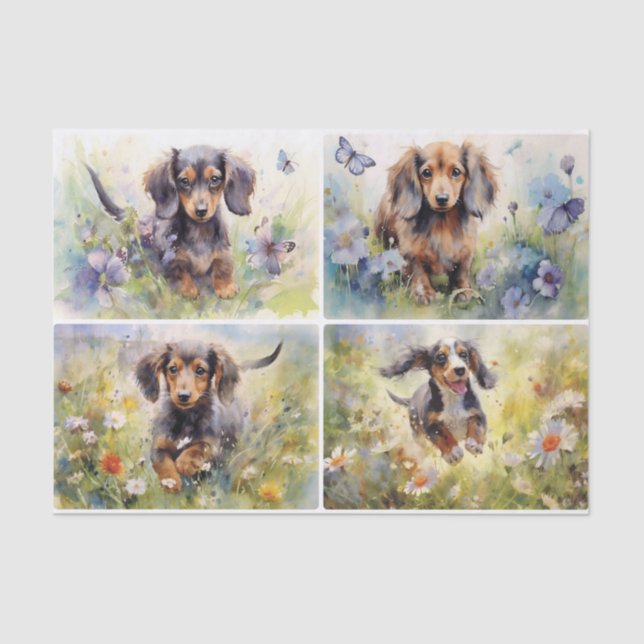 Dachshunds Tissue Paper (Front)