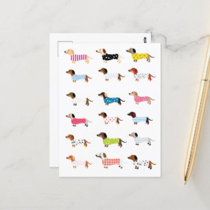 Dachsund Dog Watercolor  Postcard