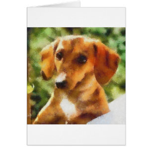 Dachsy
