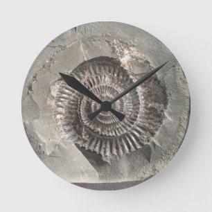 Dactylioceras ammonite in rock round clock