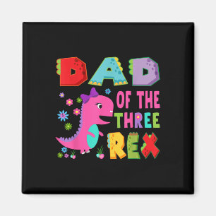 Dad Of The Three Rex 3rd Birthday Boy Dinosaur T-r Magnet