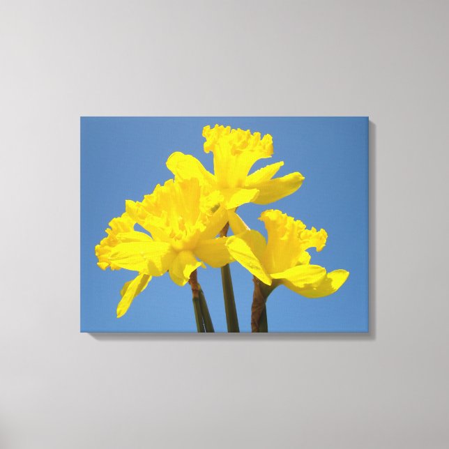 Daddofil Flowers Canvas prints Blue Sky (Front)
