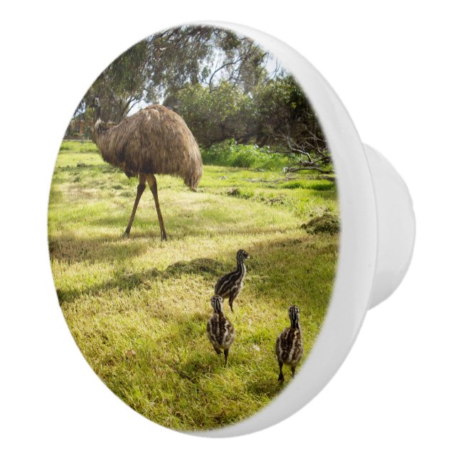 Daddy And Baby Emu Chicks, Ceramic Knob (Right)