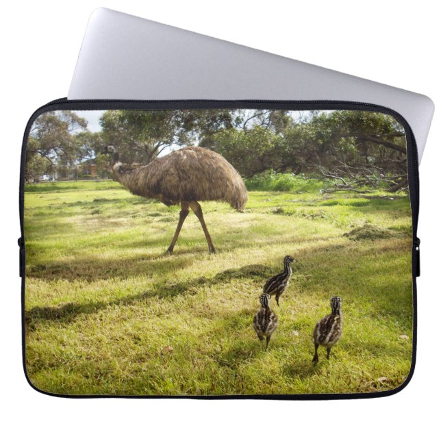 Daddy And Baby Emus,  Laptop Sleeve (Front)
