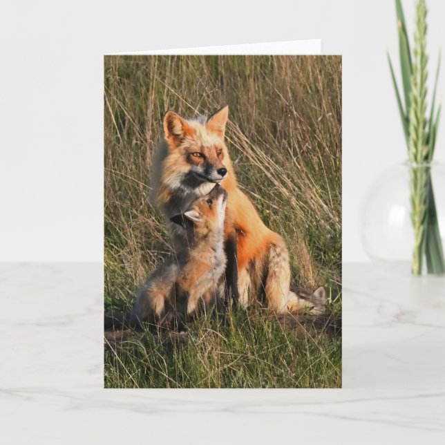 Daddy and Baby Fox Frameable Art Card (Front)
