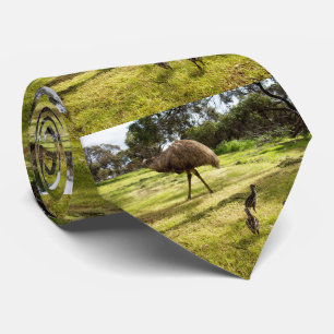 Daddy Emu With Three Chicks, Tie