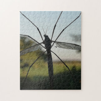 Daddy long legs on a window. jigsaw puzzle