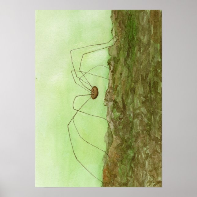 Daddy Long Legs Poster (Front)