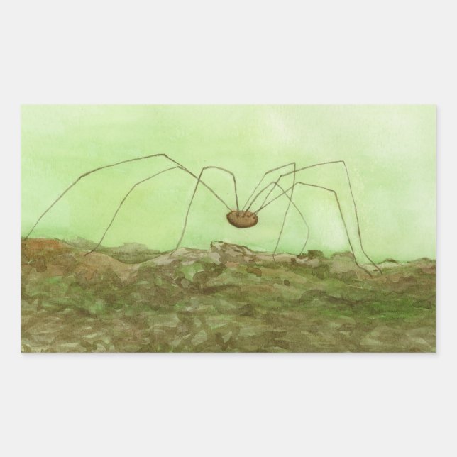 Daddy Long Legs Rectangular Sticker (Front)