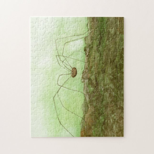 Daddy Long Legs Watercolor Puzzle (Vertical)