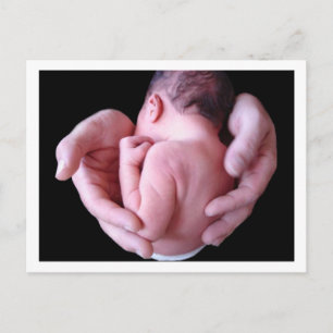 Daddy's Hands Postcard