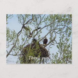 Daddys Home Postcard