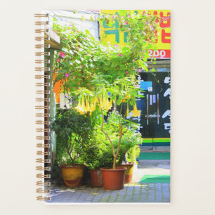 Daegu City Street Planner