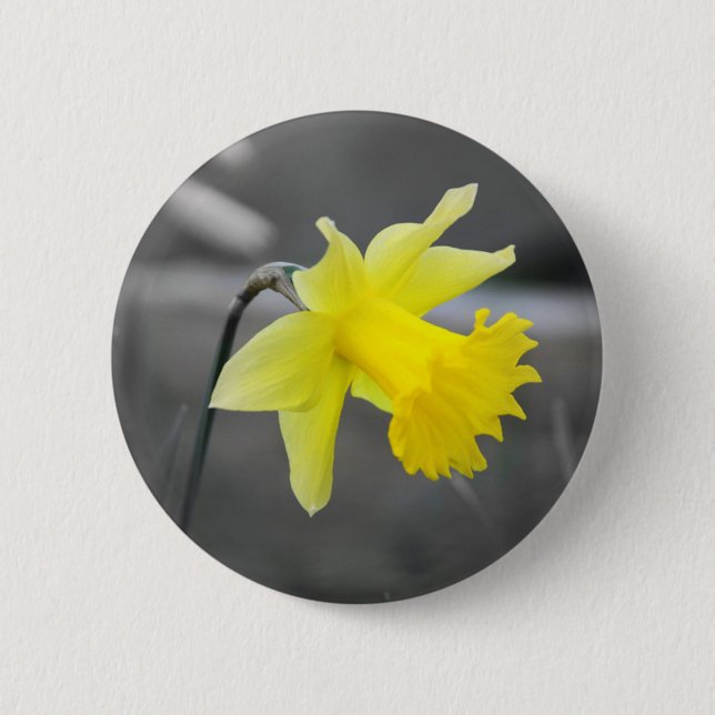 Daffodil 6 Cm Round Badge (Front)