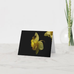 Daffodil and moth notecard