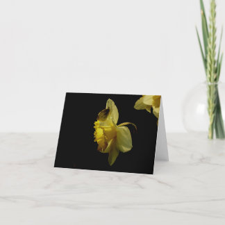 Daffodil and moth notecard
