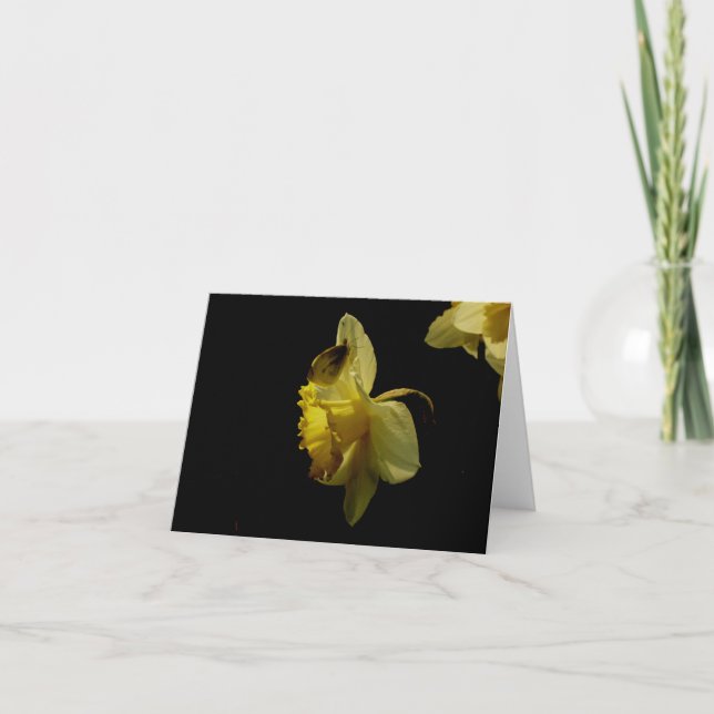 Daffodil and moth notecard (Front)