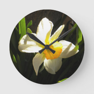 Daffodil At Daybreak Wall Clock