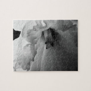Daffodil Black and White Photography Jigsaw Puzzle