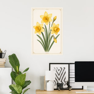 Daffodil Botanical, March Birth Flower Poster