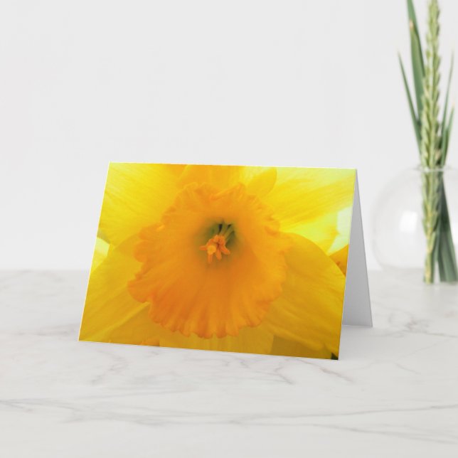 Daffodil Card (Front)