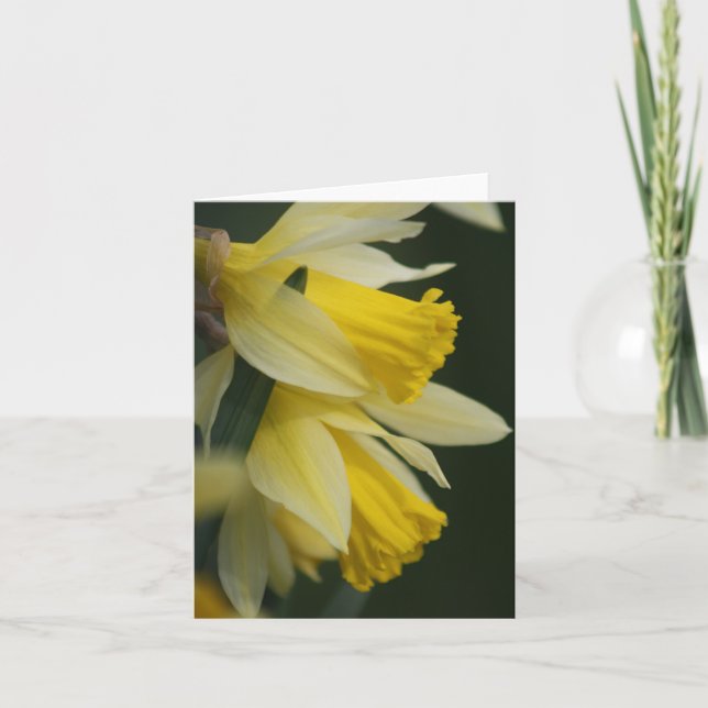 Daffodil Card (Front)