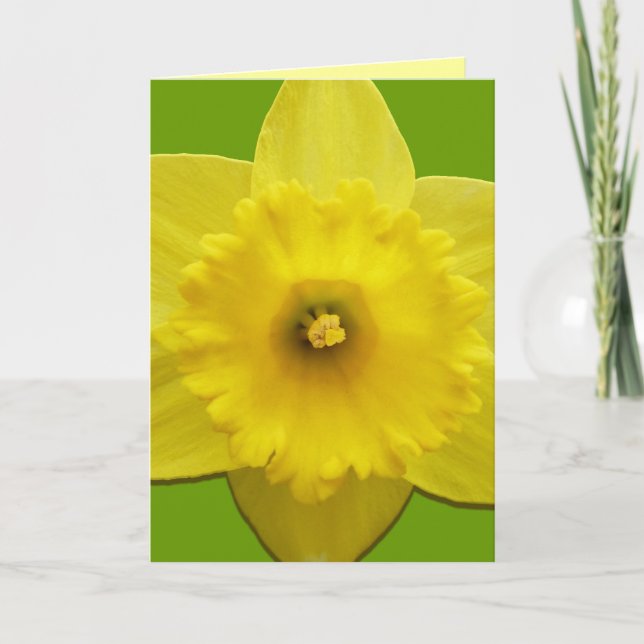 Daffodil Cards Personalised Daffodil Flower Cards (Front)