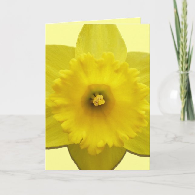 Daffodil Cards Personalised Daffodil Flower Cards (Front)