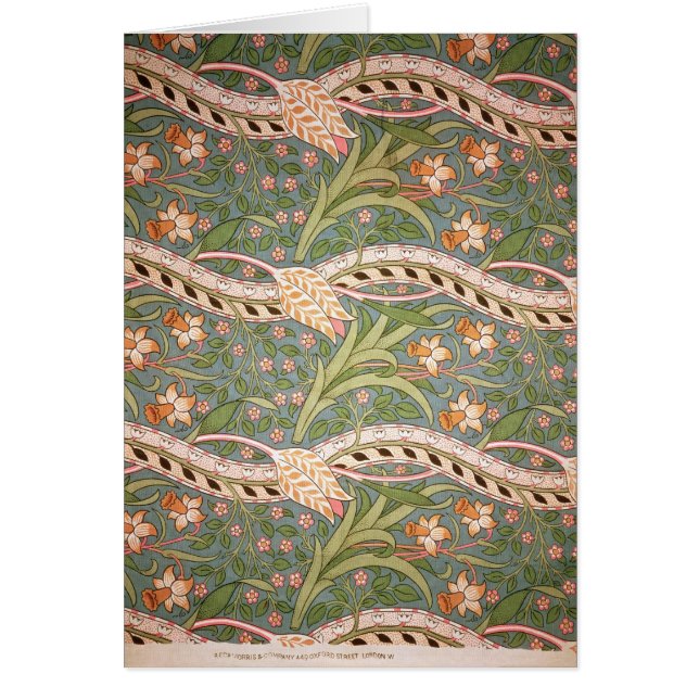 Daffodil Chintz', 1875 (Front)