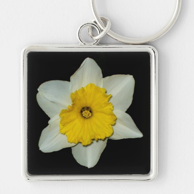 Daffodil Close-up Premium Keychain (Front)
