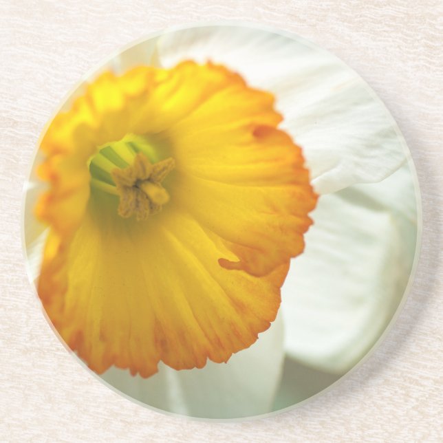 Daffodil Coaster (Front)