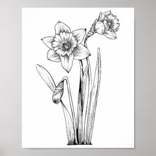 Daffodil Daffodils Flowers Floral Spring Easter Poster