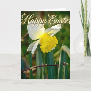 Daffodil & Easter wishes Card