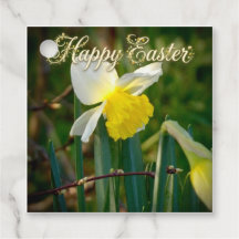 Daffodil & Easter wishes