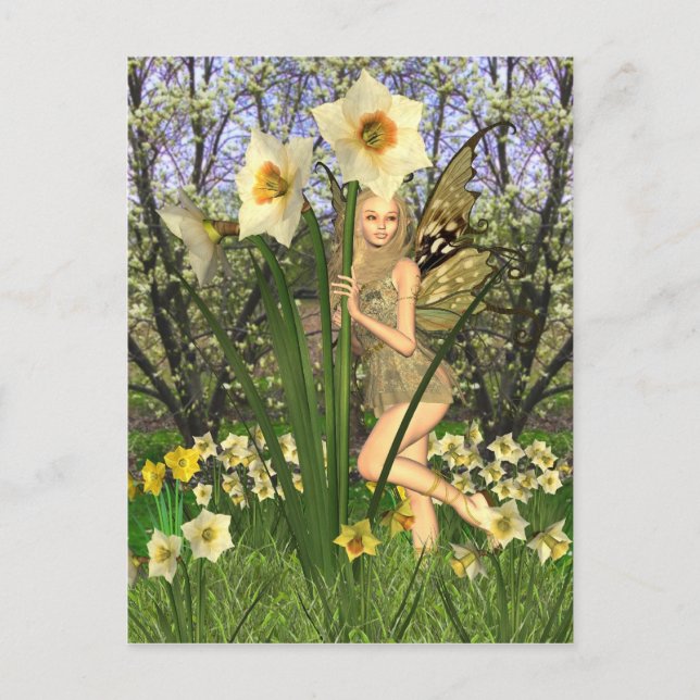 Daffodil Fairy with Spring Background Postcard (Front)