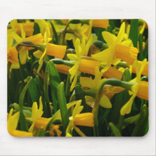 Daffodil Family Mouse Pad