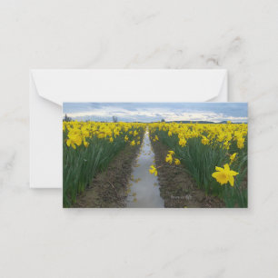 Daffodil Field Card
