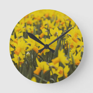Daffodil Field Ceramic Tile Round Clock
