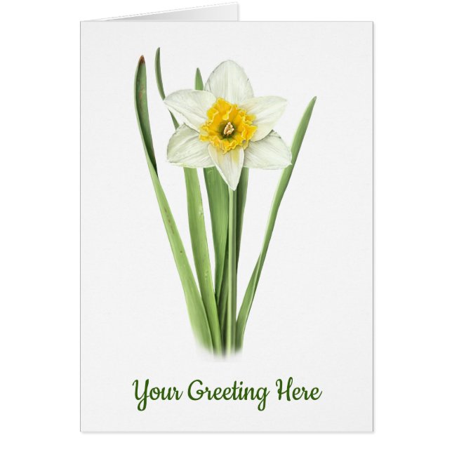 Daffodil Flower (Front)
