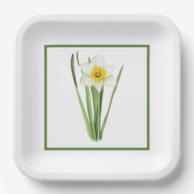 Daffodil Flower Bordered Botanical Art  Paper Plate (Front)