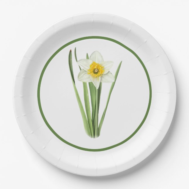 Daffodil Flower Bordered Botanical Art  Paper Plate (Front)