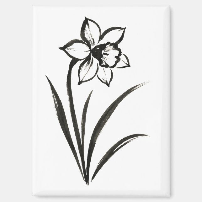 Daffodil Flower – Monochrome Botanical Art on Magnet (Front)