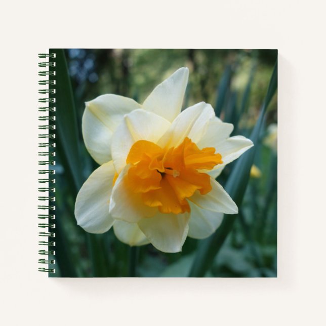 Daffodil Flower Notebook (Front)