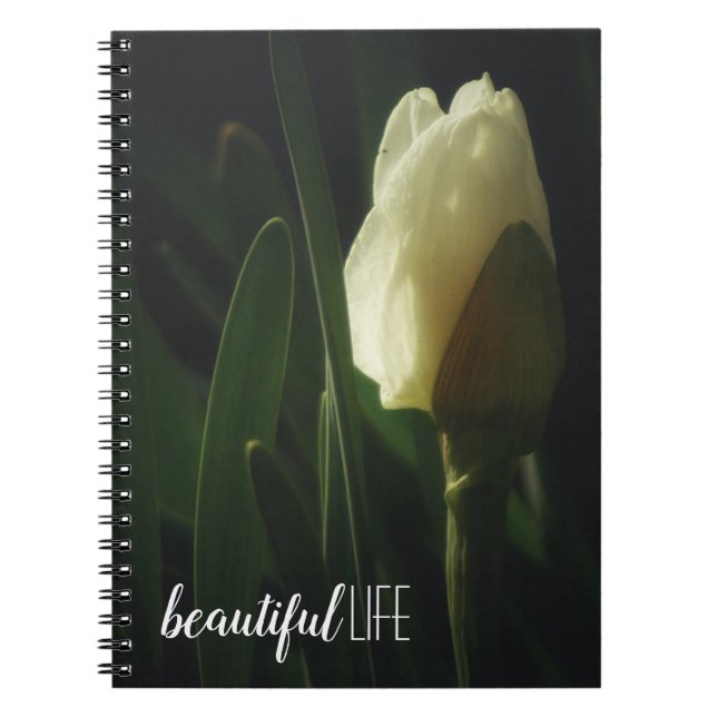 Daffodil Flower Photography Beautiful Life Notebook (Front)