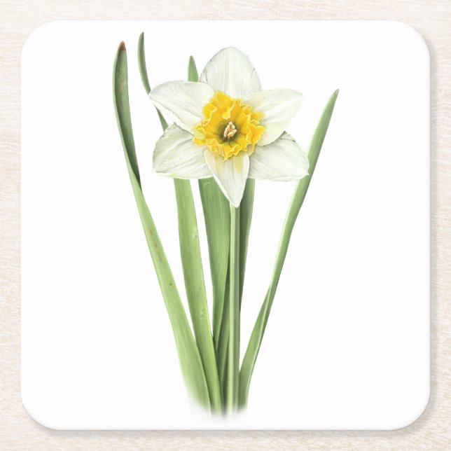 Daffodil Flower Square Paper Coaster (Front)