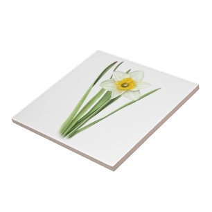 Daffodil Flower Tile