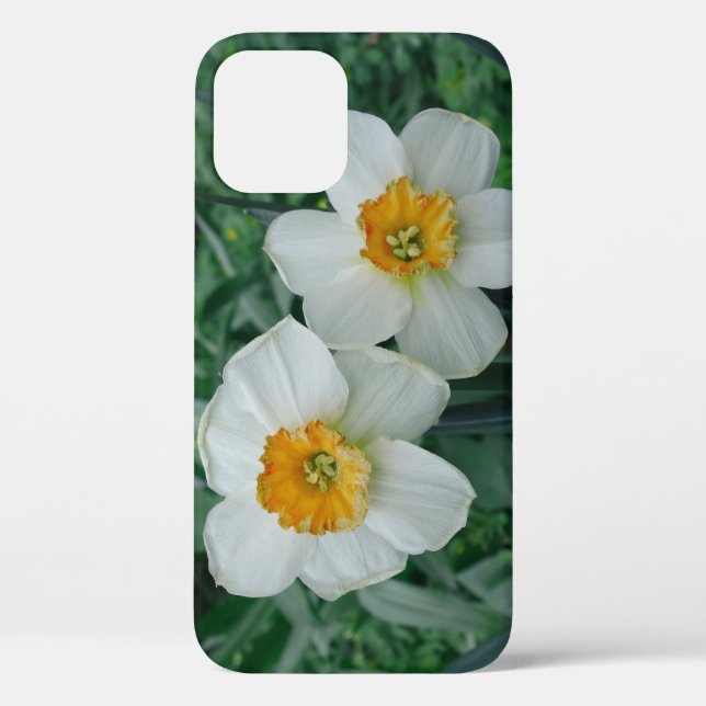 Daffodil Flowers Case-Mate iPhone Case (Back)