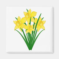 Daffodil Flowers