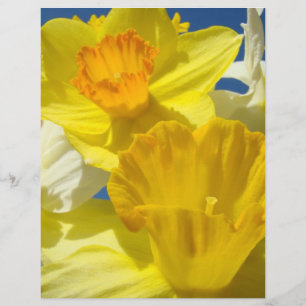 Daffodil Flowers Scrapbooking paper Scrapbook
